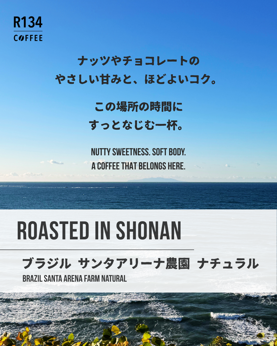 ブラジル サンタアリーナ農園 ナチュラル 100g