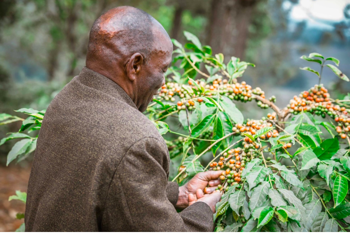 ZUSHI FAIR TRADE COFFEE - 粉150g