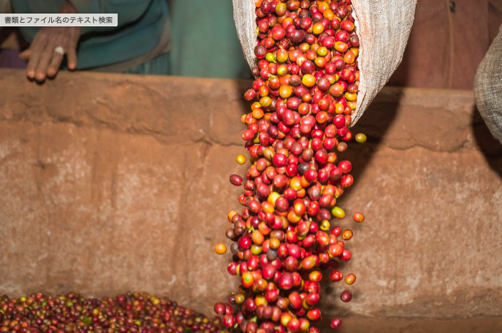 ZUSHI FAIR TRADE COFFEE - 粉150g