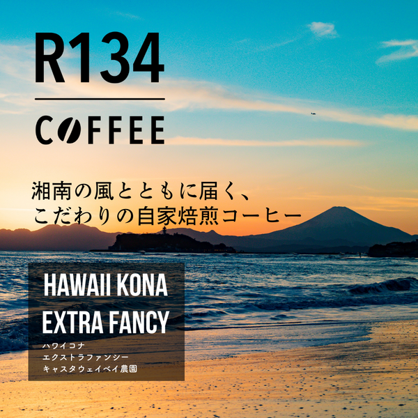 アメリカ ハワイ島コナ エクストラファンシー 100g