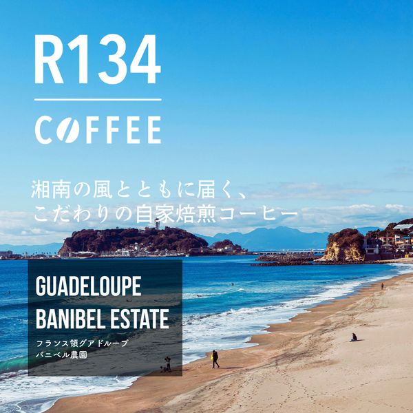 グアドループ島 バニベル農園 100g