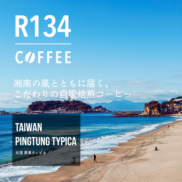台湾 屏東ティピカ 100g