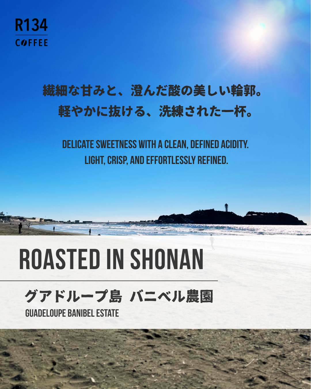 グアドループ島 バニベル農園 100g