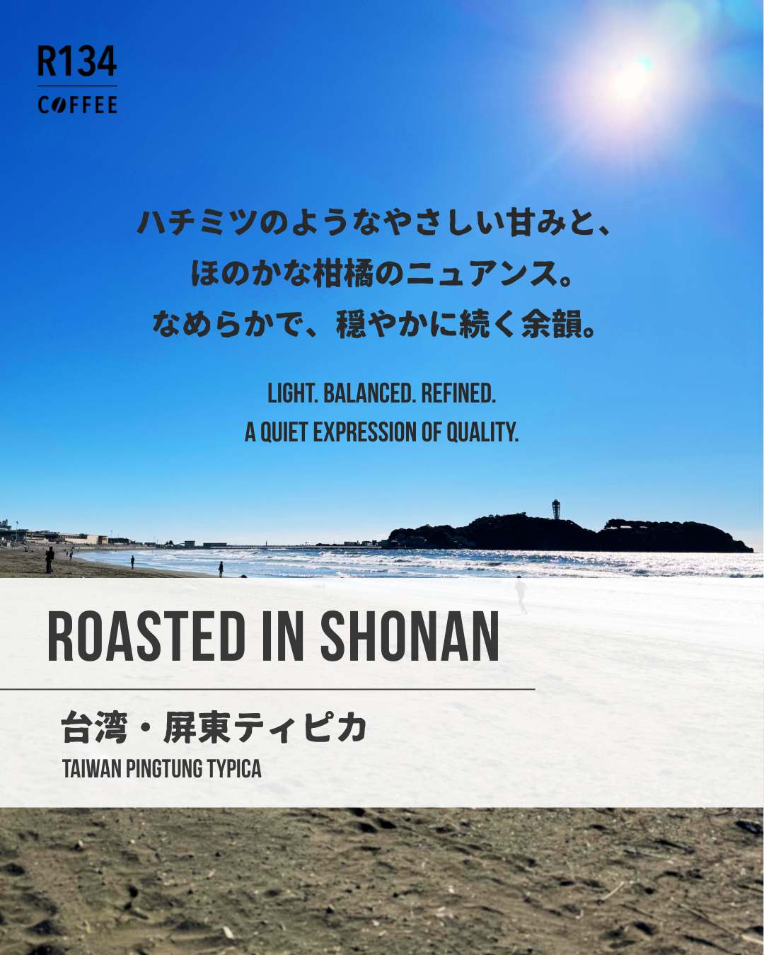 台湾 屏東ティピカ 100g