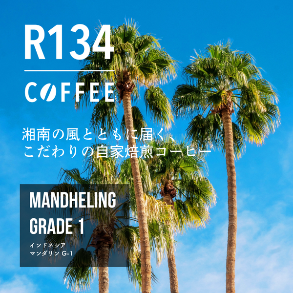 インドネシア マンデリン G-1 100g