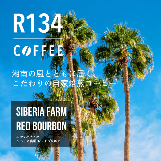 エルサルバトル シベリア農園 レッドブルボン 100g