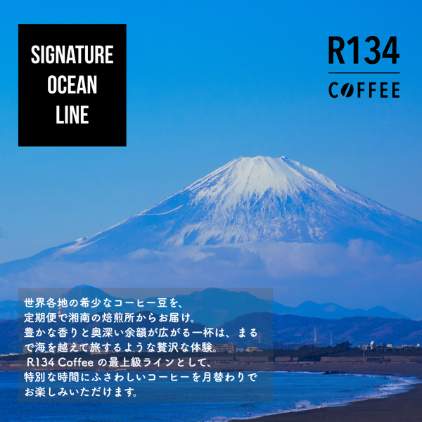 R134 Coffee サブスクリプション - Signature Ocean Line（Exclusive)