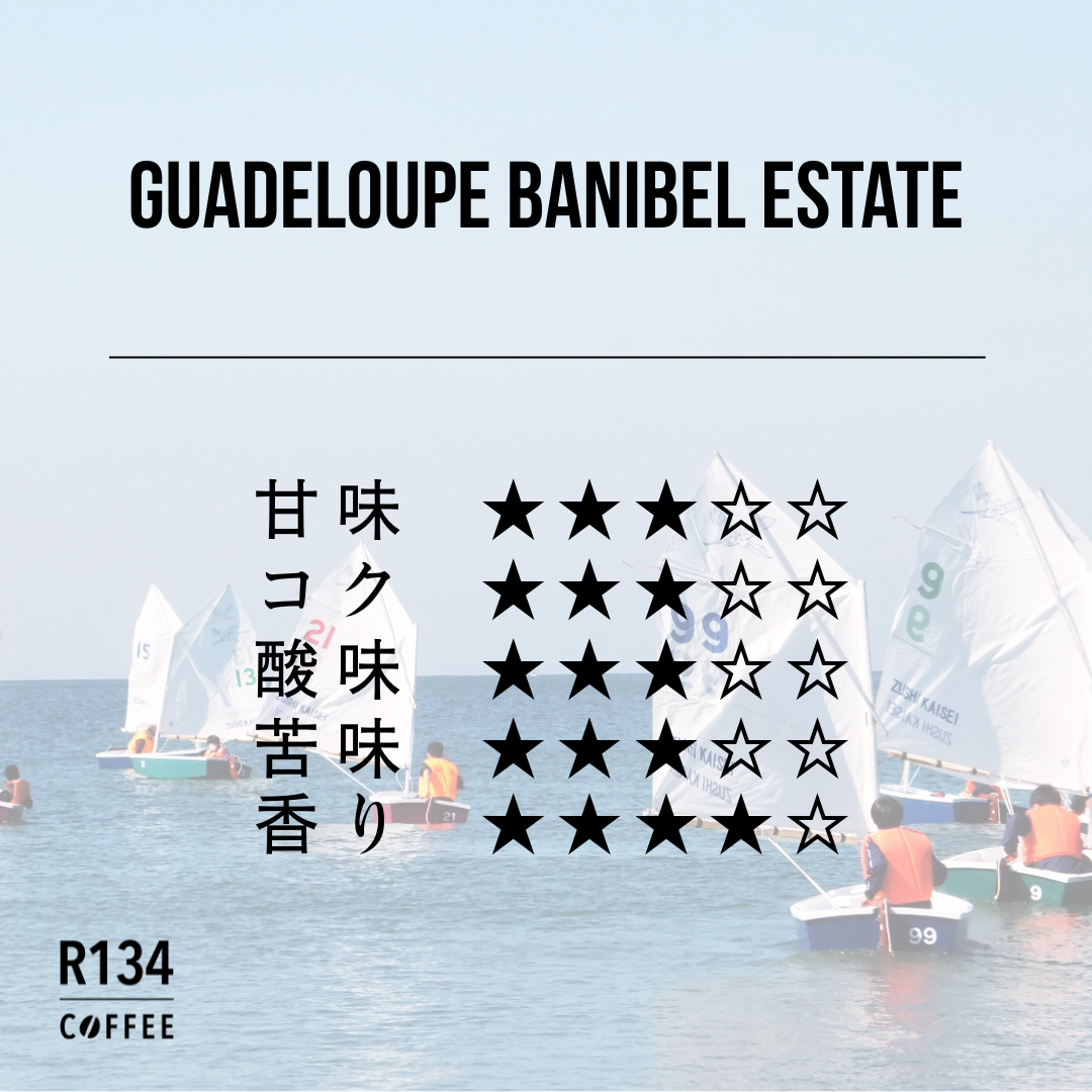 グアドループ島 バニベル農園 100g