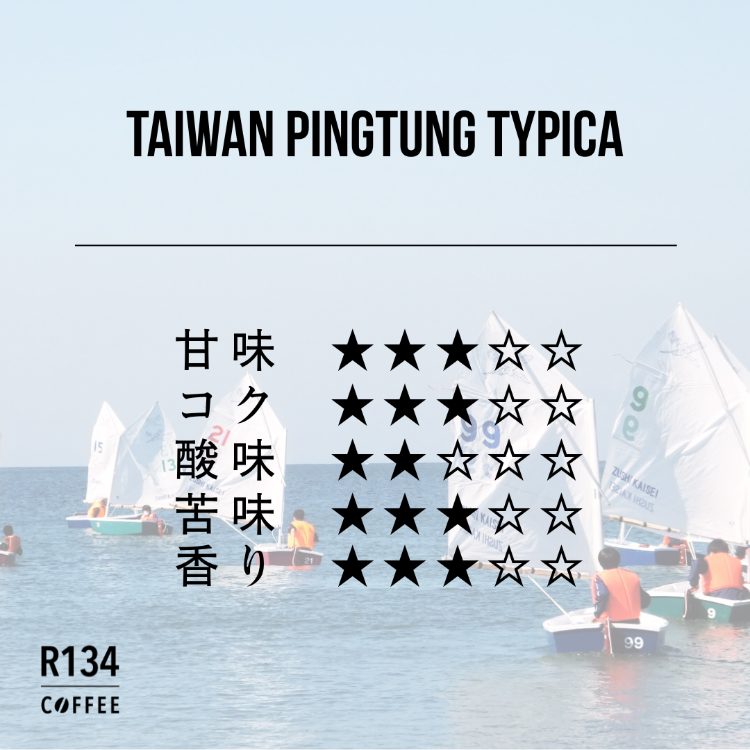 台湾 屏東ティピカ 100g