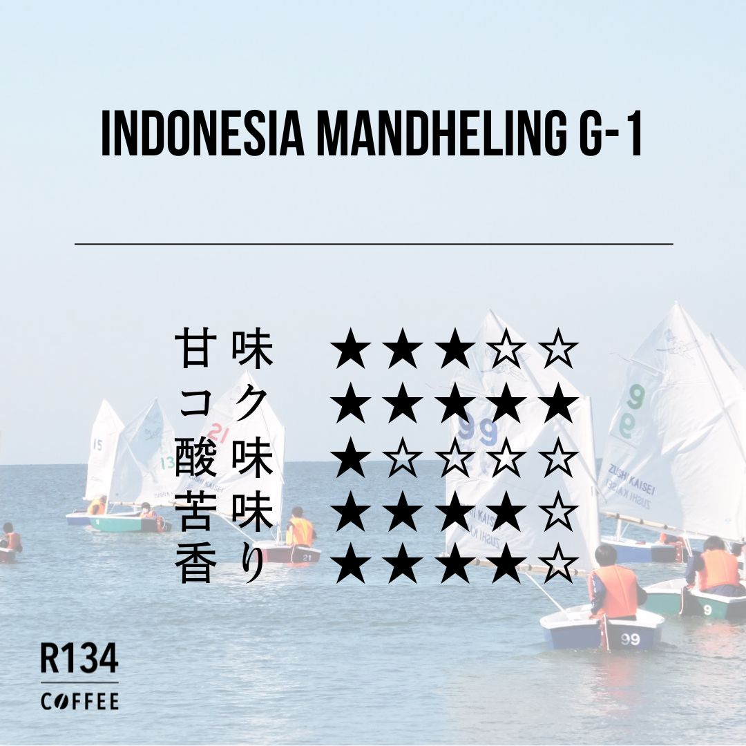 インドネシア マンデリン G-1 100g